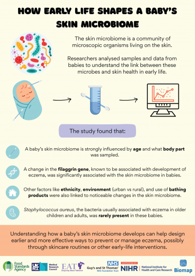How Early Life Shapes a Baby’s Skin Microbiome