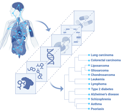 Beyond Skin, Gut, and Brain: Understanding Disease Connections by Why and How Diseases Happen, Not Just Where Beyond Skin, Gut, and Brain: Understanding Disease Connections by Why and How Diseases Happen, Not Just Where