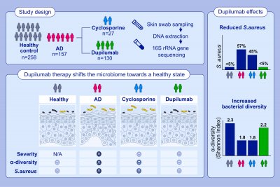 How does immunotherapy influence the skin microbiota of people living with atopic dermatitis? How does immunotherapy influence the skin microbiota of people living with atopic dermatitis?